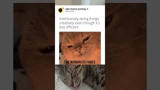 Intentionally doing things creatively even tho it's less eficient #cat #memes #funny