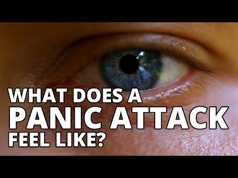 What Does A Panic Attack Feel Like? (TRIGGER WARNING) What Does A Panic Attack Feel Like? (TRIGGER WARNING)