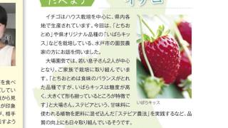 茨城県広報紙「ひばり」平成26年12月号【8ページ】