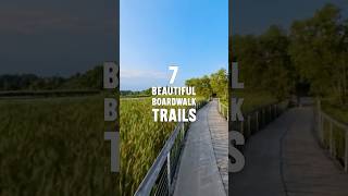 7 Beautiful Boardwalk Trails