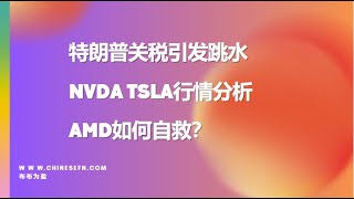 美股尾盘为何跳水？NVDA TSLA走势分析，AMD被套怎么救？