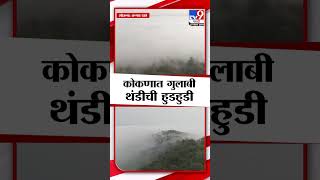 Ratnagiri  मध्ये गुलाबी थंडीची चाहूल, Ratnagiri Winter | Konkan | tv9 Marathi