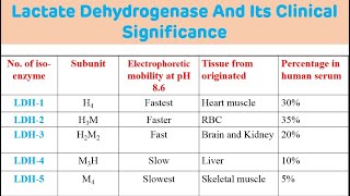 Lactate Dehydrogenase And It's Clinical Significance || LDH Biochemistry