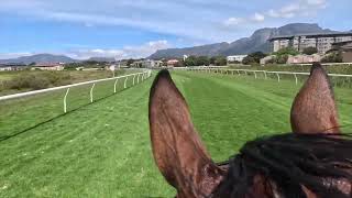 Eight on Eighteen Grass Gallop in prep for the Hollywoodbets Cape Guineas