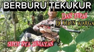 HUNTING DI KEBUN WARGA SEPOT NYA GOKIL