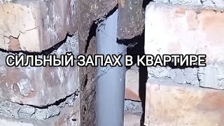 🤯Сильный Запах Канализации в Ванной|Неприятный Запах в Квартире и Санузле❓