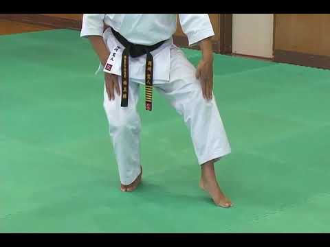 Kyokushin Kata Explanation Taikyoku Sono Ni San 2 3 Youtube