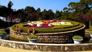 台灣之美-櫻花-全台七大驚豔賞櫻景點.The beauty of Taiwan - cherry