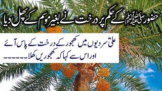 Hazrat Muhammad S.A.W Ke Mojzat | Miracles of Prophet Muhammad | Mustaqeem TV