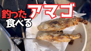 【渓流釣り】ルアーで釣った魚をその場で食べる