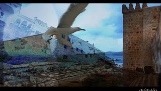 صباح أحد بطنجة \\ نورس بابل \\Seagull of babylon