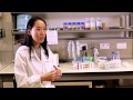 LKCMedicine Research Spotlight: Nanomedicine & Tissue Engineering by Nanyang Asst Prof Juliana Chan