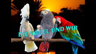 Die Vögel und wir - eine kurze Chronologie