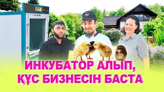 Инкубатор алып бизнес бастадым