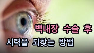 다초점 인공수정체의 정체는?