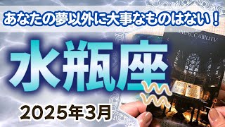 【水瓶座】今という時に、あなたの夢以外に大事なものはありません✨🔮2025年2月タロットリーディング🔮