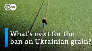 The EU's balancing act between supporting Ukraine and keeping member states happy | DW News