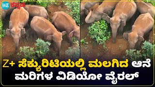 Elephant family : ಕುಟುಂಬದ ಸದಸ್ಯರ ಭದ್ರ ಸೆಕ್ಯುರಿಟಿಯಲ್ಲಿ ಬೆಚ್ಚಗೆ ಮಲಗಿದ ಆನೆಗಳ ಹಿಂಡಿನ ವೈರಲ್ ವಿಡಿಯೋ