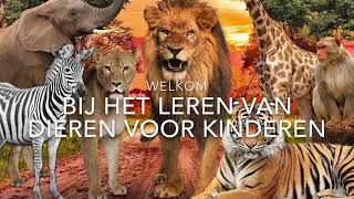 Het leren van dieren in het Nederlands met geluiden