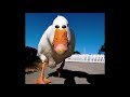 anatidaephobia but with pictures of ducks and a scary version of the duck tales theme song