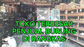 TOKO TERBESAR,PENJUAL BURUNG LENGKAP DI RANGKAS BITUNG