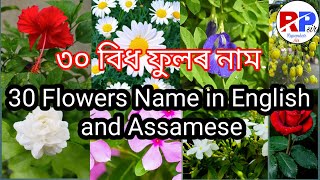 ৩০ বিধ ফুলৰ নাম অসমীয়া আৰু ইংৰাজীত || 30 Flowers name in Assamese\u0026English || Flowersname