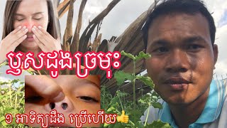 ដើមអណ្តាតគោ! ថ្នាំខ្មែរ ឫសដូងច្រមុះ | Best Khmer Traditional Medicinal Plants 2023