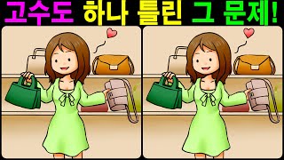 【틀린그림찾기/치매예방】 고수도 하나 틀린 그 문제! 【다른그림찾기/두뇌운동】