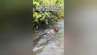 Mini Vlog: Outdoor Adventures and Swimming with My German Shepherd, Coco.