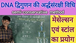 DNA द्विगुणन की अर्द्धसंरक्षी विधि। मेसेल्सन एवं स्टांल का प्रयोग।