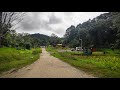 KEDAI MAKAN TENGAH HUTAN RIMBA RASA CAFE TIBOW