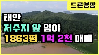 [매물507] 태안 저수지 앞 임야 1863평 1억2천만원 매매