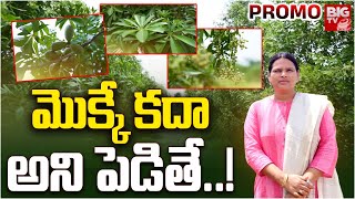 Benefits Of Local Saplings Plantation : మొక్కే కదా అని పెడితే..! | Promo | BIGTV