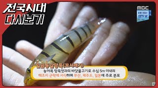 [다시보기]전국시대 (대전) 여름철 습기제거 대작전  (부산) 해양 이색 취미 열전  (광주) 수영대회 경기장 이모저모 (울산) 이순신 덕후들