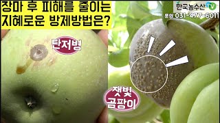 [한국농수산TV] 장마 후 피해를 줄이는 지혜로운 방제 방법을 아십니까? 경북 김천#인바이오 #재규어 #진딧물 #살충제 #작물보호제 #농약