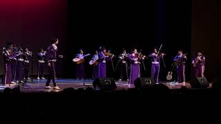 Weslaco Mariachi Winter Concert - WHS Mariachi