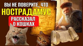 СЕКРЕТНЫЕ ЗНАНИЯ О КОШКАХ! Вы не поверите, что Нострадамус рассказал о кошках! #кот #котики #кошки