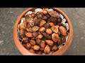 Easy way to roast nuts in shell 🌰🥜