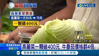 菜價又漲了! 颱風\