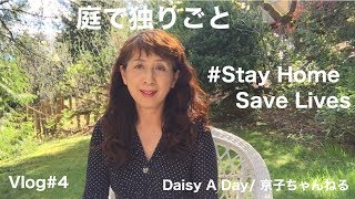 [アメリカ暮らしvlog] ウサギ対策/ 庭で独りごと/ 隣人とハンバーグ