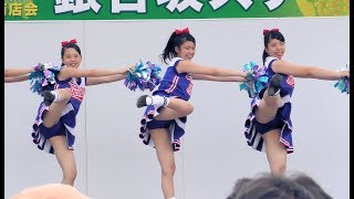 [4K]茨城県立水戸商業高等学校チア・ダンス部「Blue Twinkle’s」 第57回水戸黄門まつり銀杏坂ステージ3