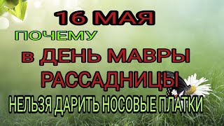 16 мая народный праздник День Мавры. Запреты дня