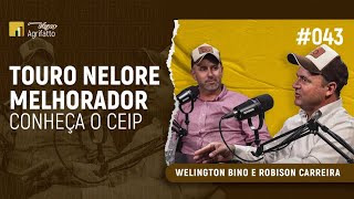 #043 - Welington Bino e Robison Carreira | Touro Nelore melhorador: conheça o CEIP