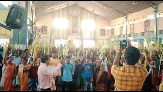 palm sunday🌴 nawapara church ambikapur