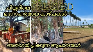 Kambalathara #Kambalathara dam #palakkad #chittoor #Malayalam vlog