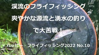 爽やかな源流とライズの忍野を釣る！シビアな魚たちに大苦戦