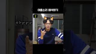 sub) 고양이소리 냥잘따라함;