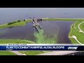 Plan to combat harmful algal blooms