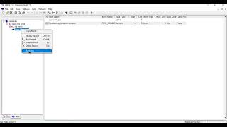 Introduction to CSPro 1