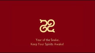 【 ရုပ်သံသတင်း 】Year of the Snake, Keep Your Spirits Awake! ၂၀၂၅ ခုနှစ် CMG တရုတ်နှစ်သစ်ကူးနွေဦးပွဲ